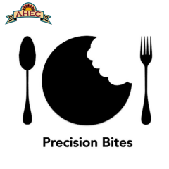 Precision Bites podcast